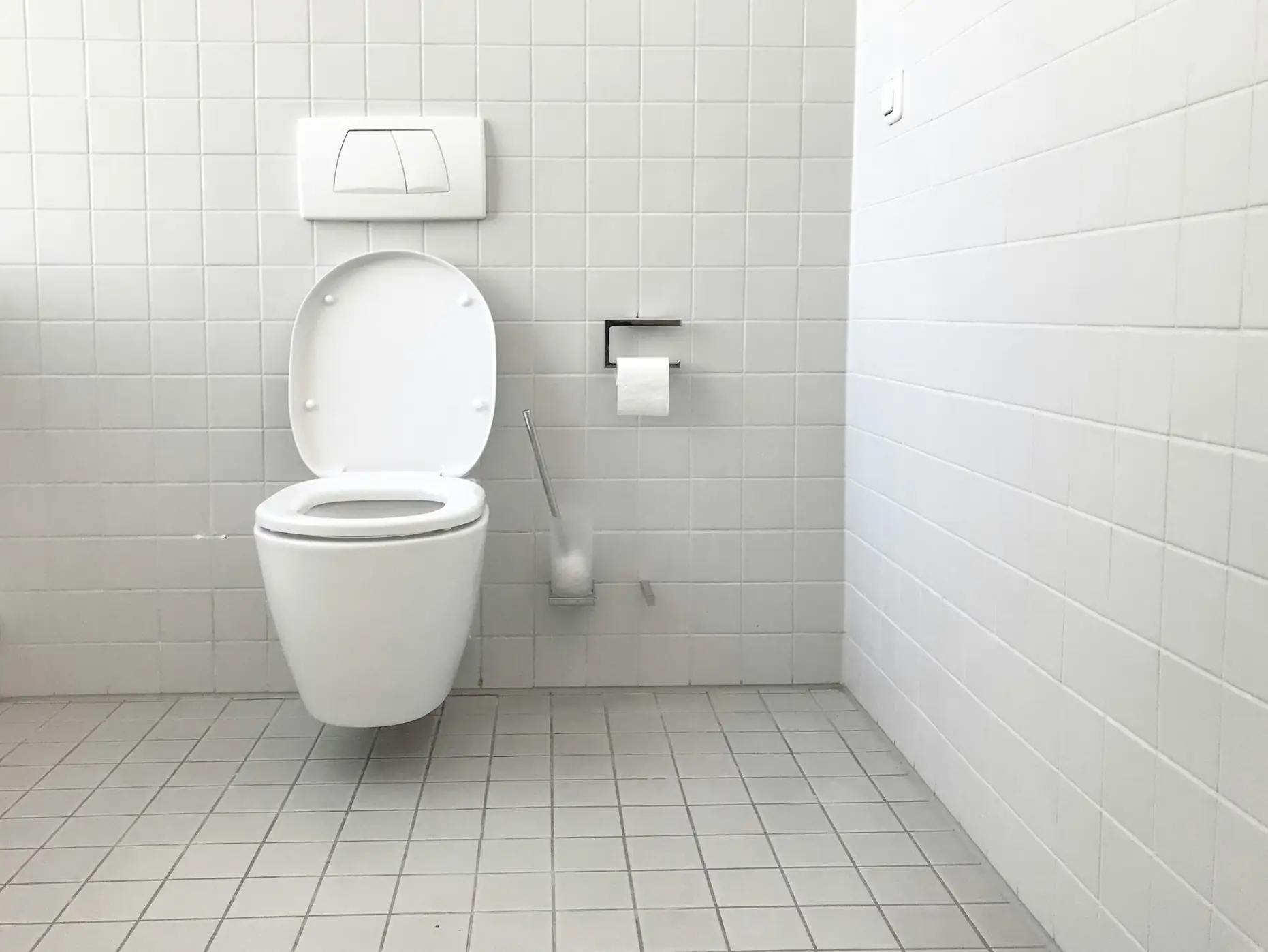 Odgušenje WC šolje